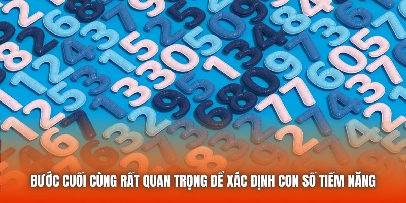 Bước cuối cùng rất quan trọng để xác định con số tiềm năng