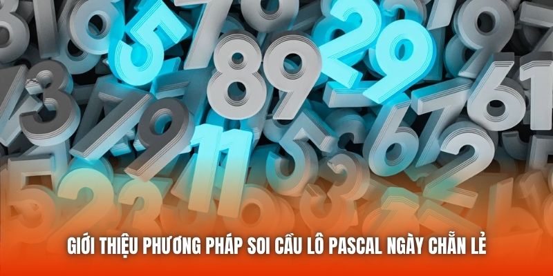 Giới thiệu phương pháp soi cầu lô pascal ngày chẵn lẻ